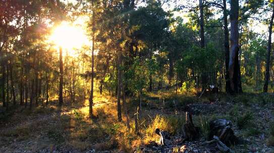 Autumn Working With Nature Retreat